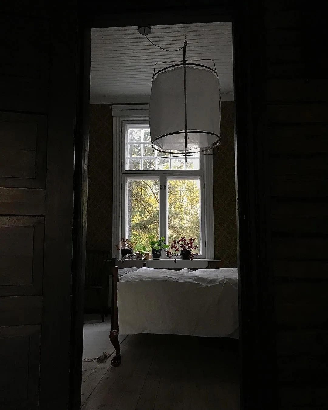 Ay illuminate Pendant Lamp