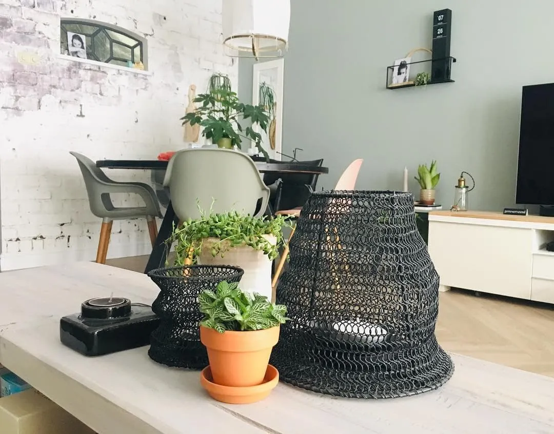 Ay illuminate Pendant Lamp