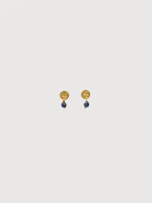 Earrings Coin Lapis Lazuli | A Beautiful Story